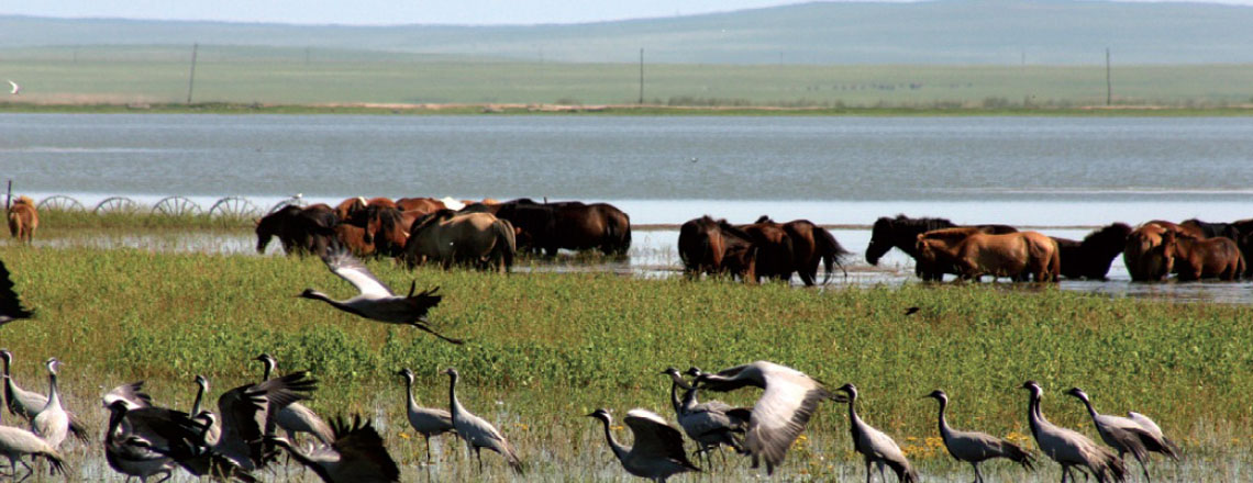 Шаазан нуур